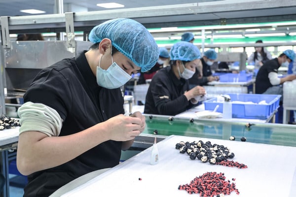 In one factory, Worker is producing